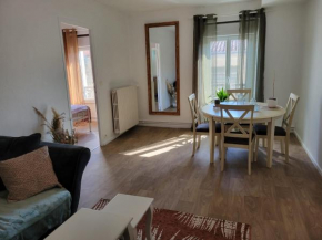 Bel appartement hyper centre, 3 pièces 60m²